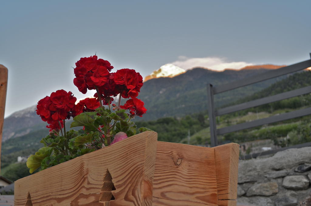 La Maison De Jose Aosta Dış mekan fotoğraf